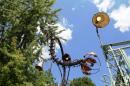 Laboratoire Botanique en Floraferrie 23 * 5184 x 3456 * (9.1MB)